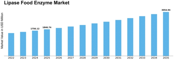 Lipase Food Enzyme Market Size