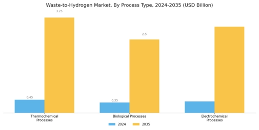 Waste to Hydrogen Market Segment Image 2