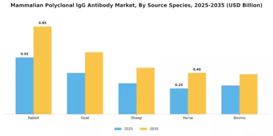 Mammalian Polyclonal Igg Antibody Market Segment Image 2