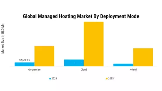 Managed Hosting Market Segment Image 1