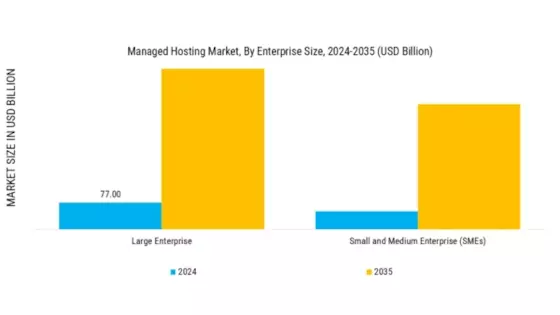 Managed Hosting Market Segment Image 2