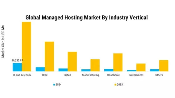 Managed Hosting Market Segment Image 3