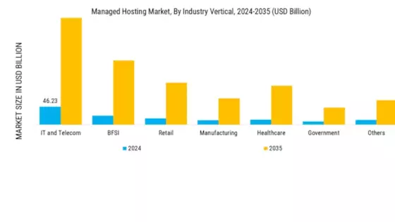 Managed Hosting Market Segment Image 3