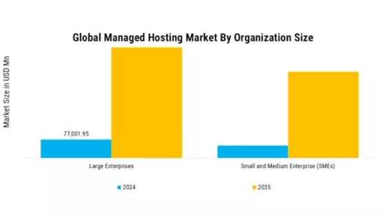 Managed Hosting Market Segment Image 2