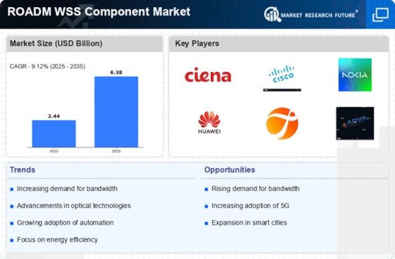 Roadm Wss Component Market Infographic