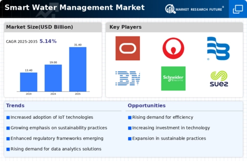 Smart Water Management Market
 Infographic