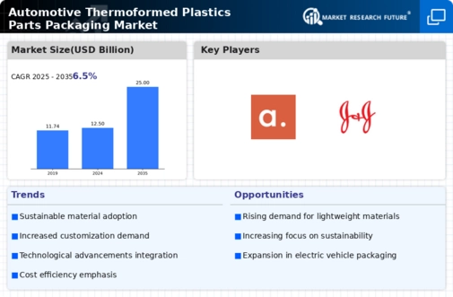 Automotive Thermoformed Plastics Parts Packaging Market Infographic