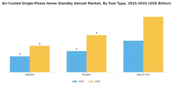 Air Cooled Single Phase Home Standby Genset Market Segment Image 2