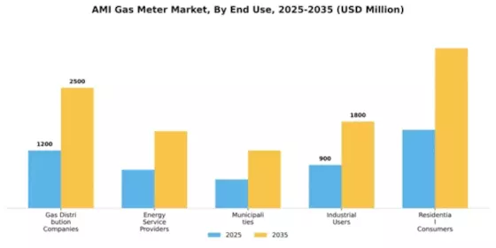 AMI Gas Meter Market Segment Image 1