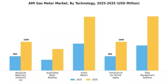 AMI Gas Meter Market Segment Image 2
