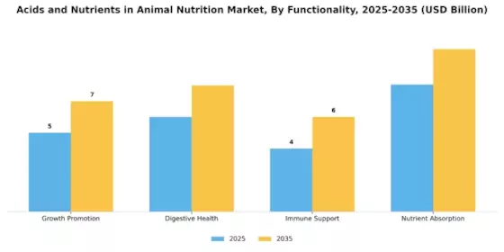 Acids and Nutrients in Animal Nutrition Market Segment Image 3