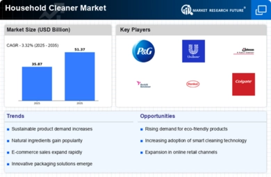 Household Cleaner Market Infographic