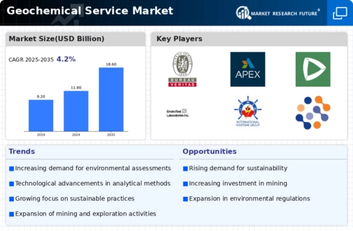 Geochemical Service Market Infographic