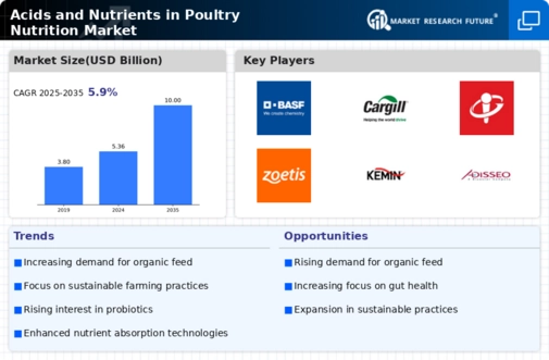 Acids and Nutrients in Poultry Nutrition Market Infographic