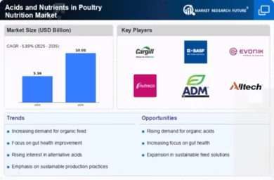 Acids and Nutrients in Poultry Nutrition Market Infographic