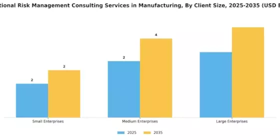 Operational Risk Management Consulting Services in Manufacturing Market Segment Image 3