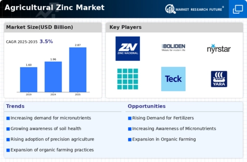 Agricultural Zinc Market Infographic