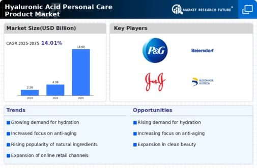 Hyaluronic Acid Personal Care Product Market
 Infographic