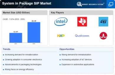 System in Package SIP Market Infographic