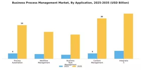 Business Process Management Market Segment Image 0