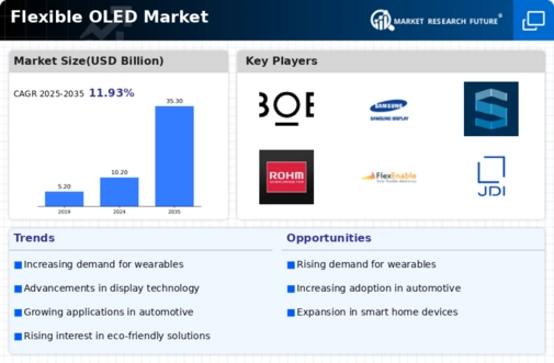 Flexible OLED Market Infographic