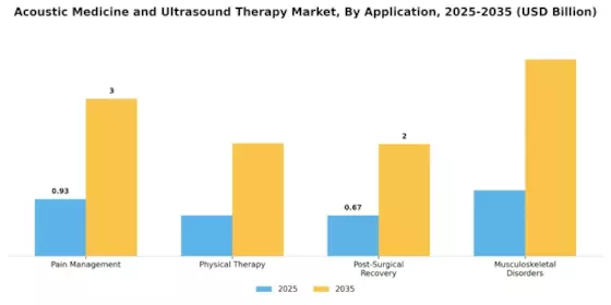 Acoustic Medicine Ultrasound Therapy Market
 Segment Image 1