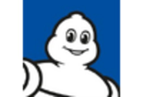 Farm Tractor Tire Market key player