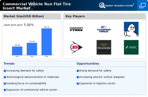 Commercial Vehicle Run Flat Tire Insert Market Research Report-Forecast Till 2034 Infographic