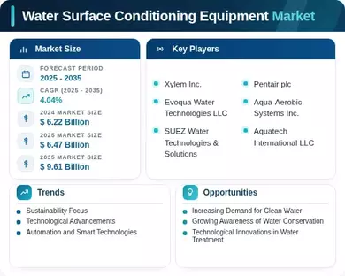 Water Surface Conditioning Equipment Market Infographic