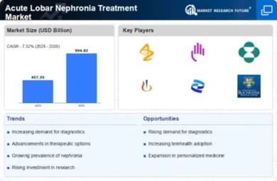 Acute Lobar Nephronia Treatment Market Infographic