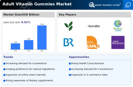 Adult Vitamin Gummies Market Infographic