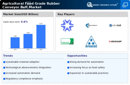 Agricultural Food Grade Rubber Conveyor Belt Market Infographic Agricultural Food Grade Rubber Conveyor Belt Market Infographic