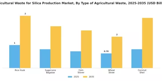 Mercado de Residuos Agrícolas para la Producción de Sílice Segment Image 1