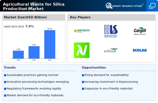Agricultural Waste for Silica Production Market Infographic