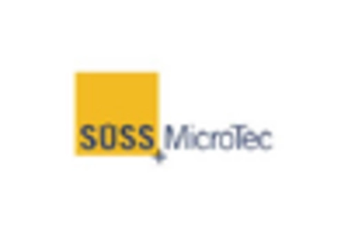 Broad Ion Beam Technology Market key player