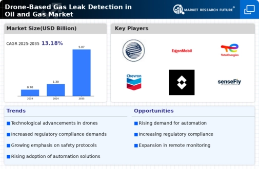 Drone Based Gas Leak Detection in Oil Gas Market Infographic