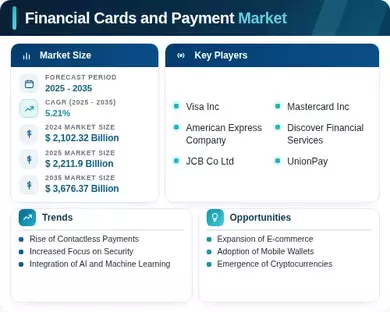 Financial Cards Payment Market Infographic