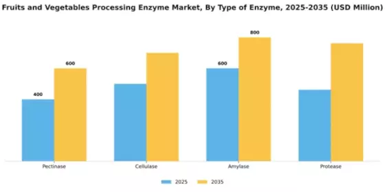 Fruits and Vegetables Processing Enzyme Market Segment Image 4
