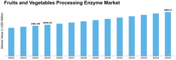 Fruits and Vegetables Processing Enzyme Market Size