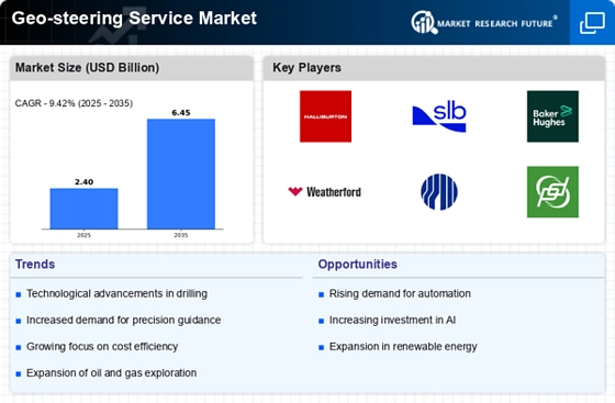 Geosteering Service Market Infographic