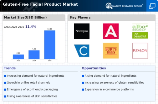 Gluten Free Facial Product Market Infographic