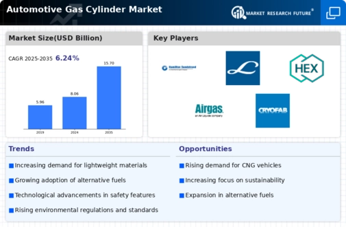 Automotive Gas Cylinder Market Infographic