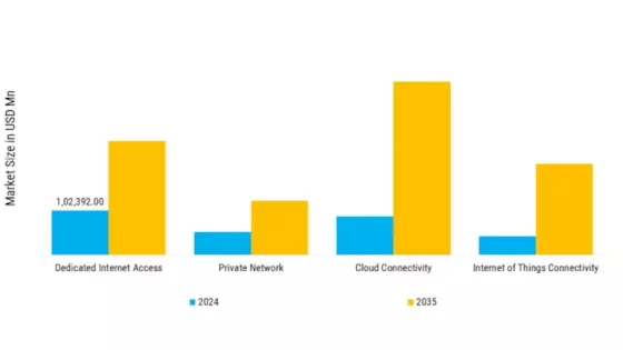 B2B Fixed Connectivity Market Segment Image 2