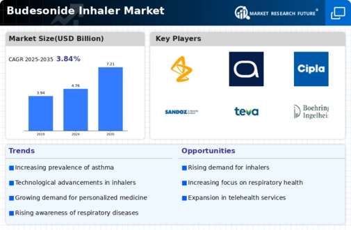 Budesonide Inhaler Market Infographic Budesonide Inhaler Market Infographic
