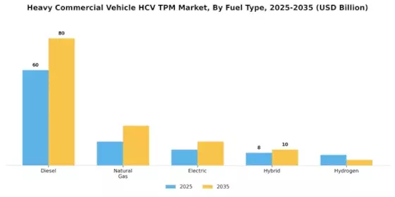 Heavy Commercial Vehicle Tpm Market Segment Image 1