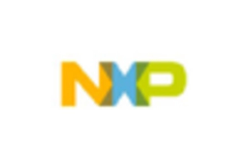 Consumer Analog Integrated Circuit Market key player