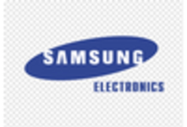 Consumer Smart Wearable Market key player