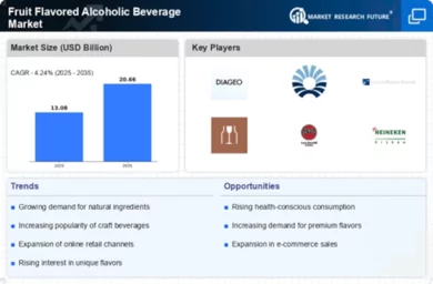 Fruit Flavored Alcoholic Beverage Market Infographic