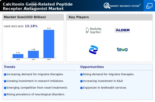 Calcitonin Gene Related Peptide Receptor Antagonist Market Infographic Calcitonin Gene Related Peptide Receptor Antagonist Market Infographic