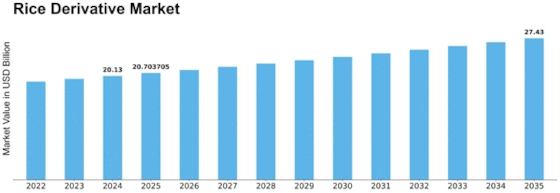Rice Derivative Market Size